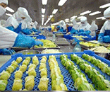 富士通為生鮮食品廠定制潔凈方案，助力食品廠美好環境建設